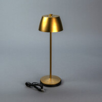 Eze USB-LED-Tischleuchte matt-gold 8