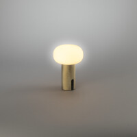 Antibes Mini USB-LED-Tischleuchte messing matt 4