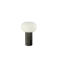 Antibes Mini USB-LED-Tischleuchte silber matt 5