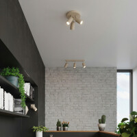 Sollux SL.2156 Deckenleuchte RING 3P taupe 6