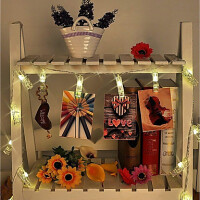 LED Lichterkette mit 20 Klammern Deko warmweiss 2m 5