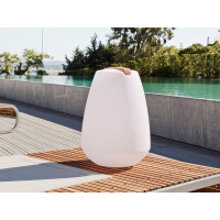 Designleuchte Vessel mit Holzgriff und APP control 3