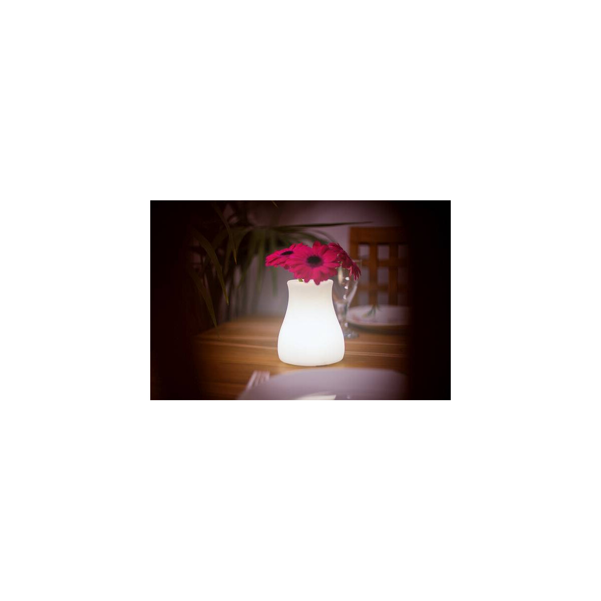 OLIO kabellose LED-Tischvase 11x13cm "App-control"