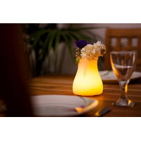 OLIO kabellose LED-Tischvase 11x13cm "App-control"