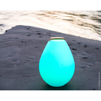 Designleuchte Vessel 2 mit Holzgriff und APP control 2
