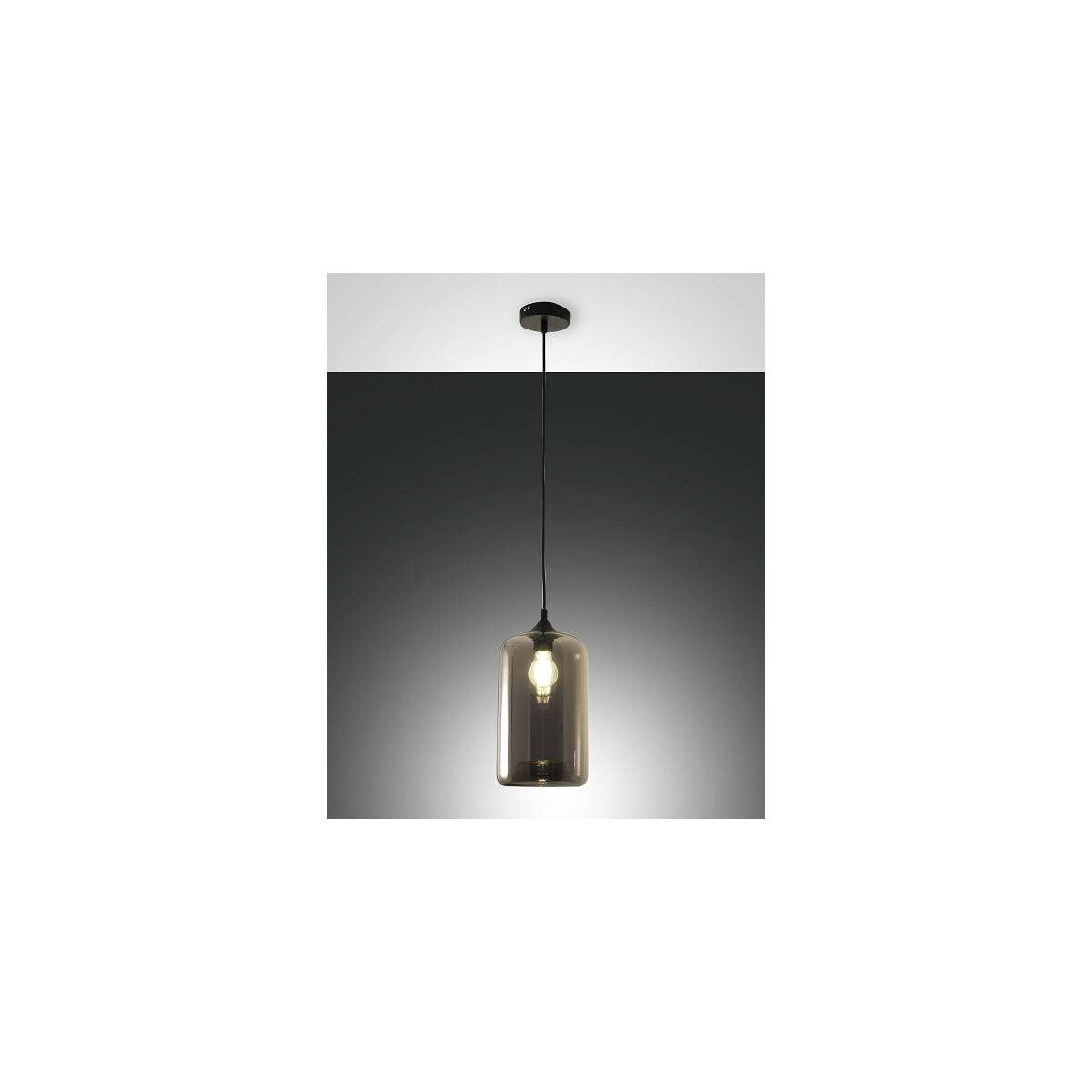 Fabas Luce Silo Pendelleuchte E27 1X60W Metall und geblasenes Glas Grau transparent