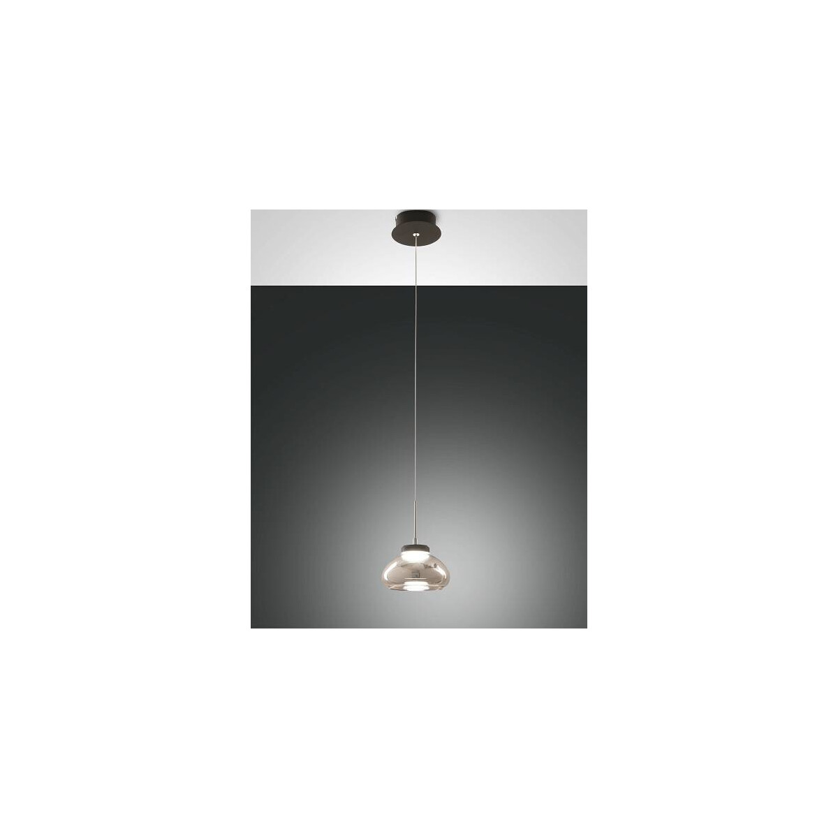 Fabas Luce Arabella Pendelleuchte LED 1x8W Metall und geblasenes Glas Grau transparent