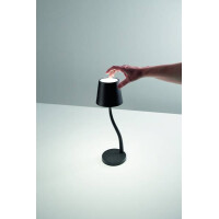 Fabas Luce JUDY Akku Tischleuchte LED 1x3W schwarz 3