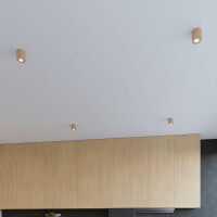 Sollux SL.0492 Deckenleuchte ORBIS Natural Holz 6