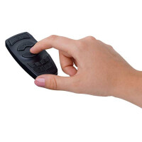Plug & Shine Controller Wireless mit Fernbedienung IP68 